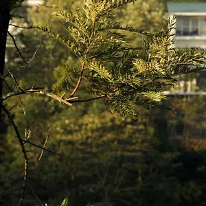 3* Курортный комплекс Falcon Crest